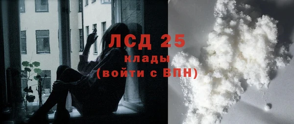 СК Верея