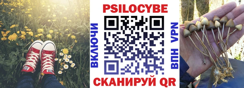 Псилоцибиновые грибы Psilocybine cubensis  Купить где  Пестово 