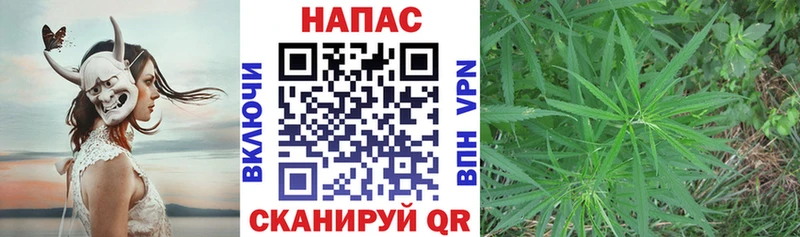 Купить где  Пестово  Конопля ГИДРОПОН 